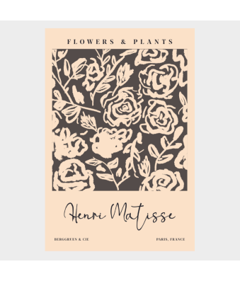 CUADRO MODERNO FLORES Y PLANTAS DE MATISSE