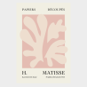 CUADRO MODERNO HOJAS ROSAS MATISSE