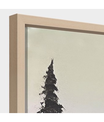Cuadro en relieve con marco de madera Fauno